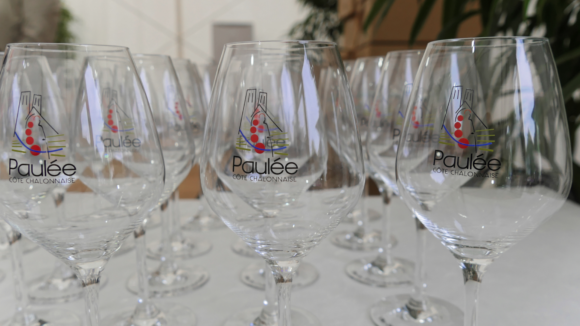 verre spécial Paulée 2016     